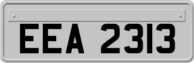 EEA2313