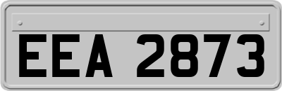 EEA2873