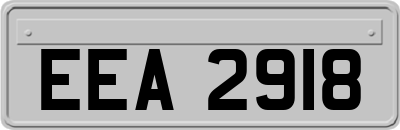 EEA2918