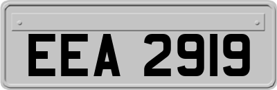 EEA2919