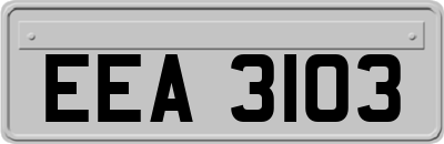 EEA3103
