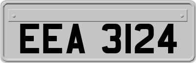 EEA3124