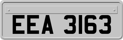 EEA3163