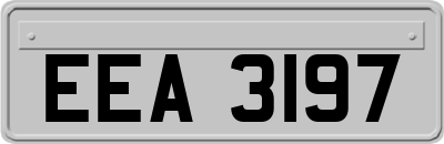 EEA3197