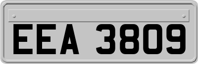 EEA3809