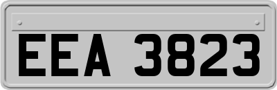 EEA3823