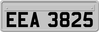 EEA3825