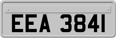 EEA3841