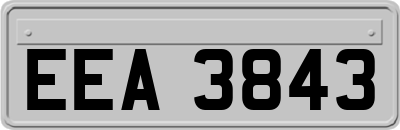 EEA3843