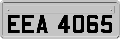 EEA4065