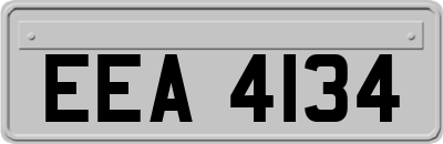EEA4134