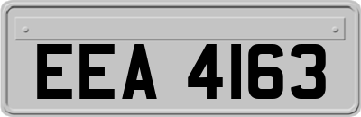 EEA4163