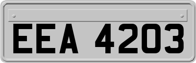 EEA4203