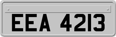EEA4213