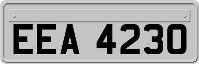 EEA4230