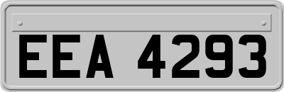 EEA4293