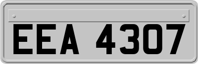 EEA4307