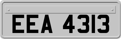 EEA4313