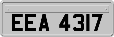 EEA4317