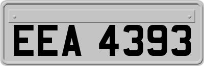 EEA4393