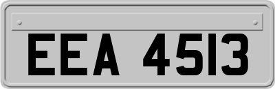 EEA4513