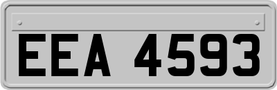 EEA4593