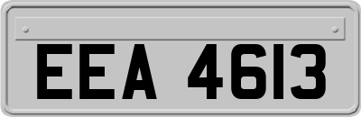 EEA4613