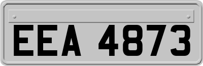 EEA4873