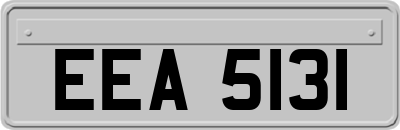 EEA5131