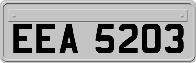 EEA5203