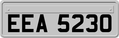 EEA5230
