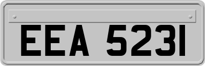 EEA5231