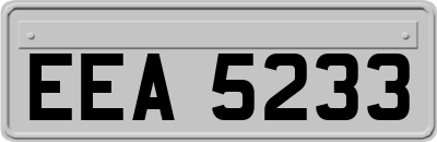 EEA5233