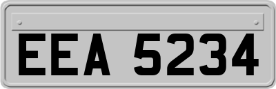 EEA5234