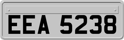 EEA5238