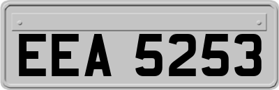 EEA5253