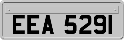 EEA5291
