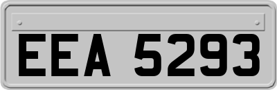 EEA5293