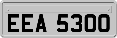 EEA5300
