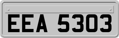 EEA5303