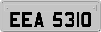 EEA5310