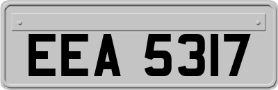 EEA5317