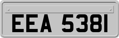 EEA5381