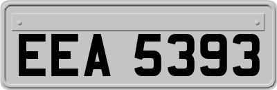 EEA5393