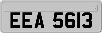 EEA5613