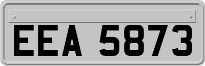 EEA5873