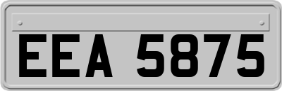 EEA5875