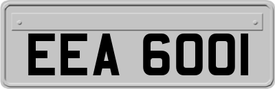 EEA6001