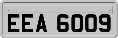 EEA6009