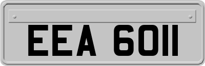 EEA6011